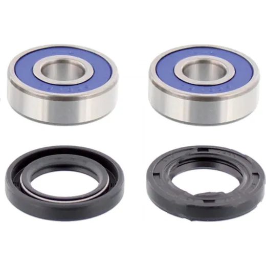 Wheel bearing and seal kit 251025