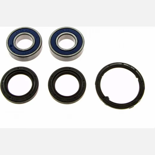 Wheel bearing and seal kit 251077