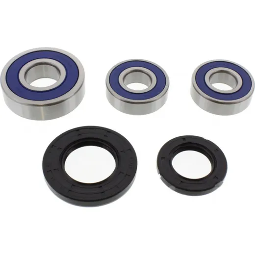 Wheel bearing and seal kit 251269