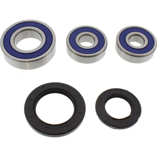 Wheel bearing and seal kit 251284