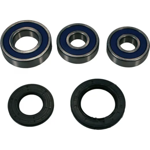 Wheel bearing and seal kit 251285