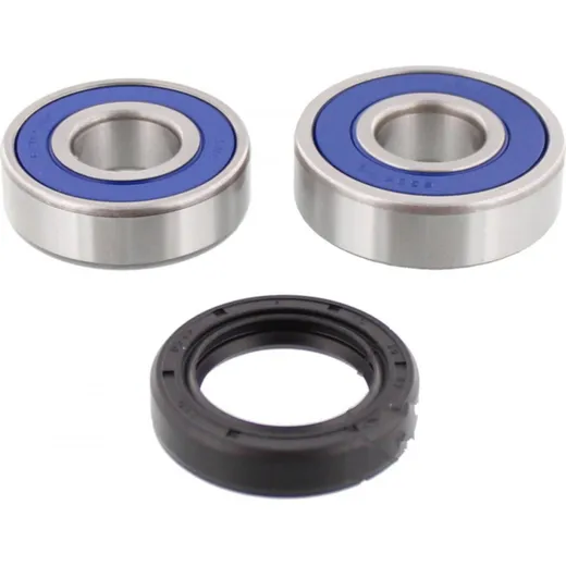 Wheel bearing and seal kit 251261