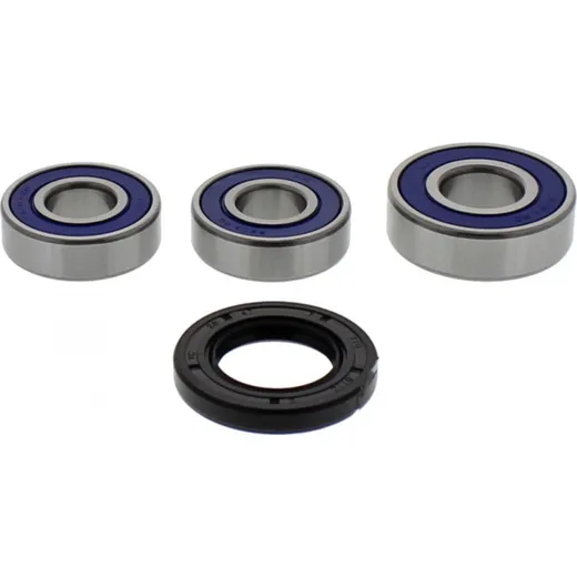 Wheel bearing and seal kit 251231