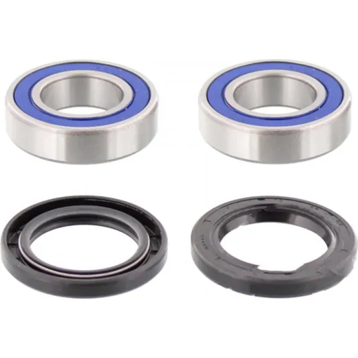 Wheel bearing and seal kit 251273