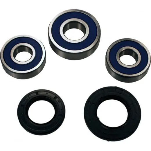Wheel bearing and seal kit 251359