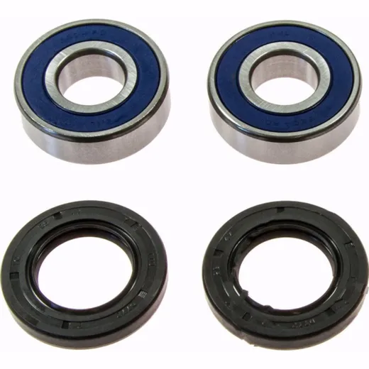 Wheel bearing and seal kit 251379