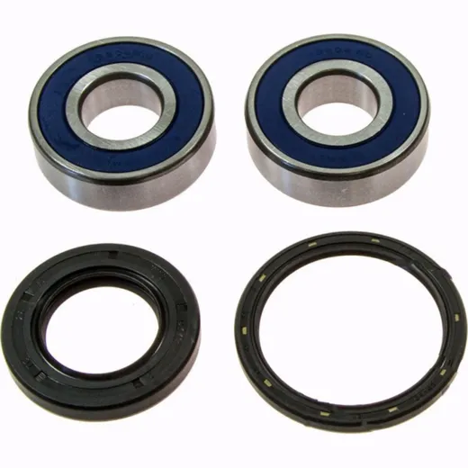 Wheel bearing and seal kit 251380