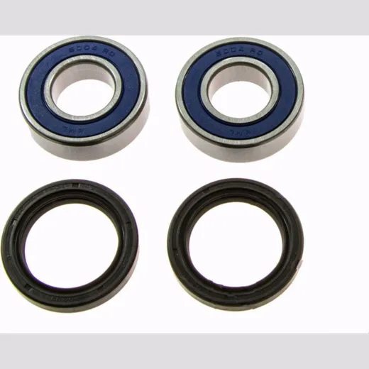Wheel bearing and seal kit 251389