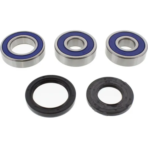 Wheel bearing and seal kit 251390