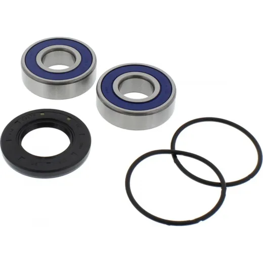 Wheel bearing and seal kit 251129