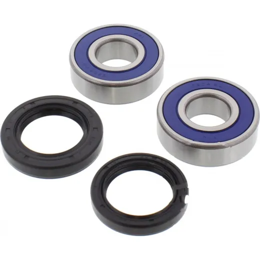 Wheel bearing and seal kit 251253