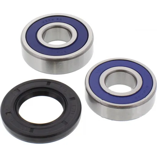 Wheel bearing and seal kit 251265