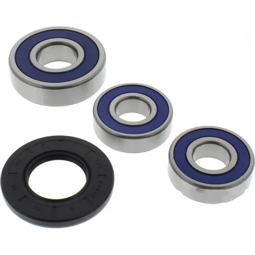 Wheel bearing and seal kit 251270