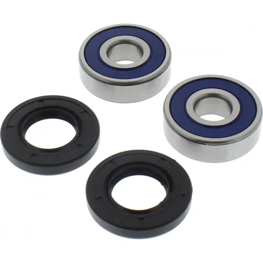 Wheel bearing and seal kit 251317
