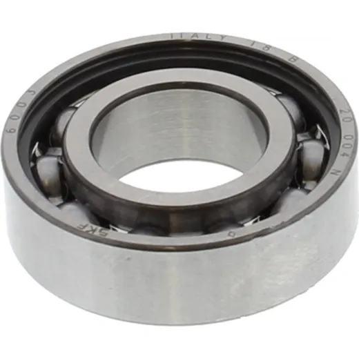 bearing 6003 skf