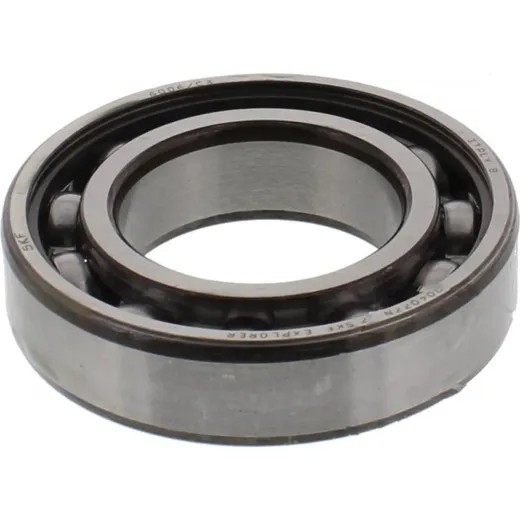 bearing 6006 c3 skf
