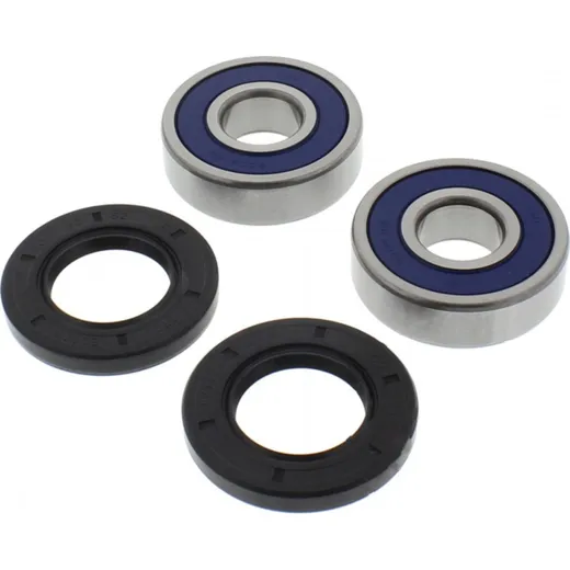 Wheel bearing and seal kit 251382