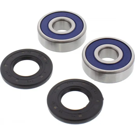 Wheel bearing and seal kit 251387