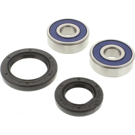 Wheel bearing and seal kit 251488