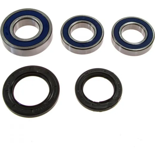 Wheel bearing and seal kit 251493