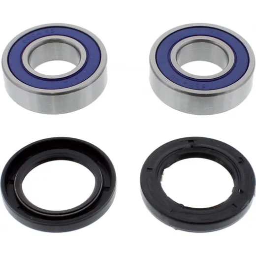 Wheel bearing and seal kit 251562