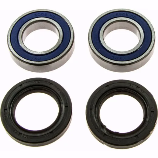 Wheel bearing and seal kit 251569