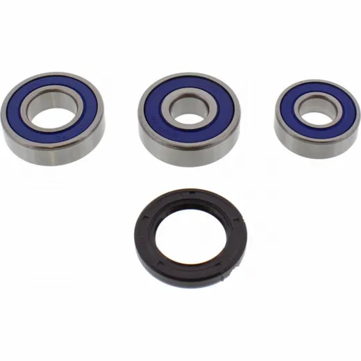 Wheel bearing and seal kit 251599