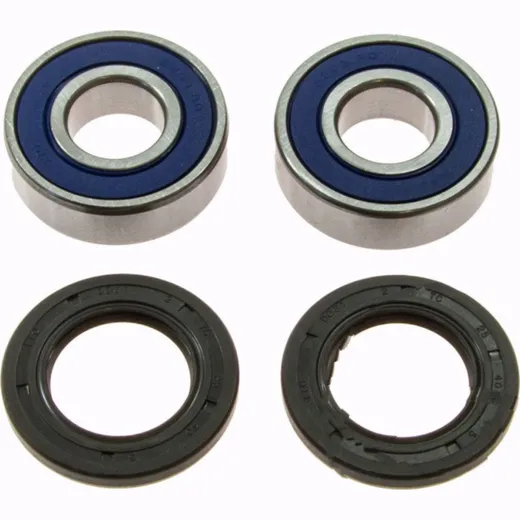 Wheel bearing and seal kit 251659
