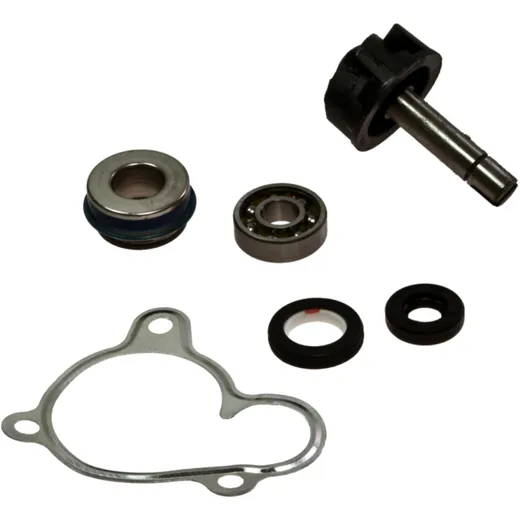 Water pump repair kit 100110270