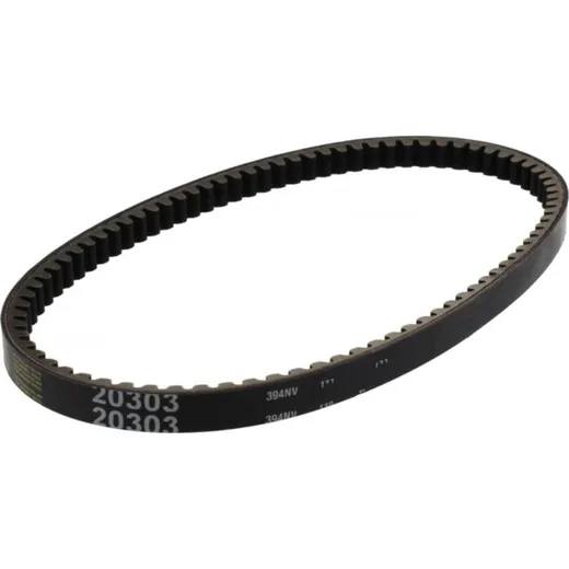 Drive belt gates 980221303