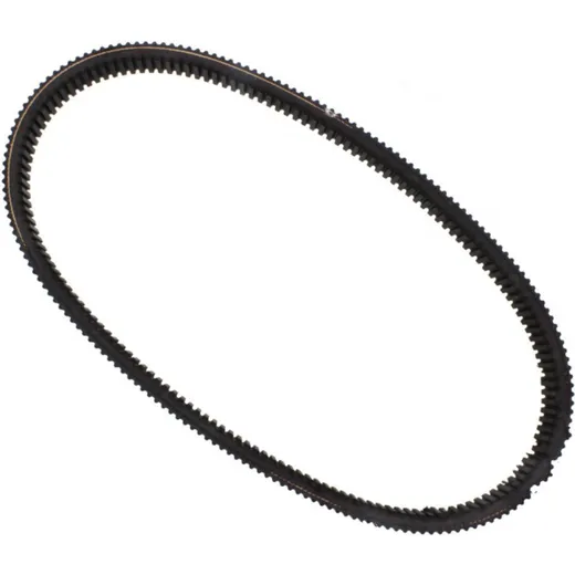 V-Belt 30X1038
