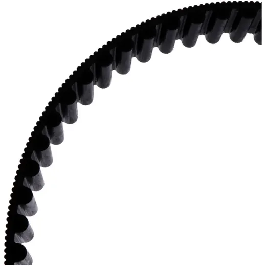 Toothed belt 141 tooth (OE spare part) for: Triumph Thunderbird