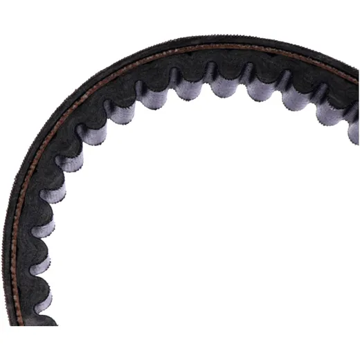 Drive belt MITSUBOSHI 24X1003 for: Kymco X - Town_0
