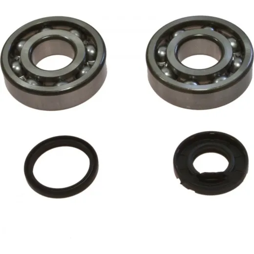 Crankshaft bearing kit 241107