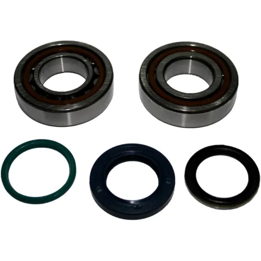 Crankshaft Bearing Kit with Seals for Motorcycles 7560205