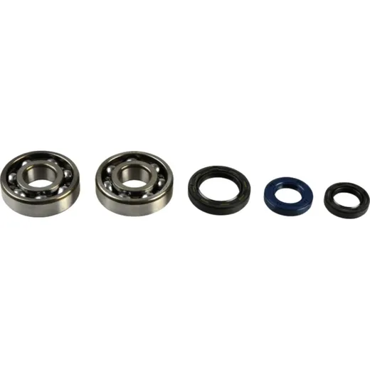 Crankshaft bearing kit P400210444007
