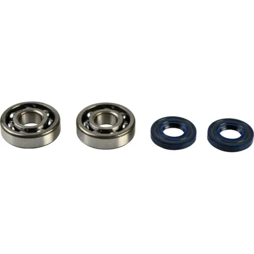 Crankshaft bearing kit P400250444082