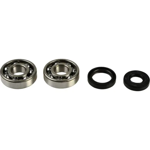 Crankshaft bearing kit P400250444001