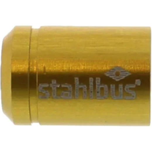 Cover bleed nipple gold for: BMW G, MV Agusta F3_0