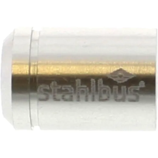 Cover bleed nipple silver for: BMW G, MV Agusta F3_0