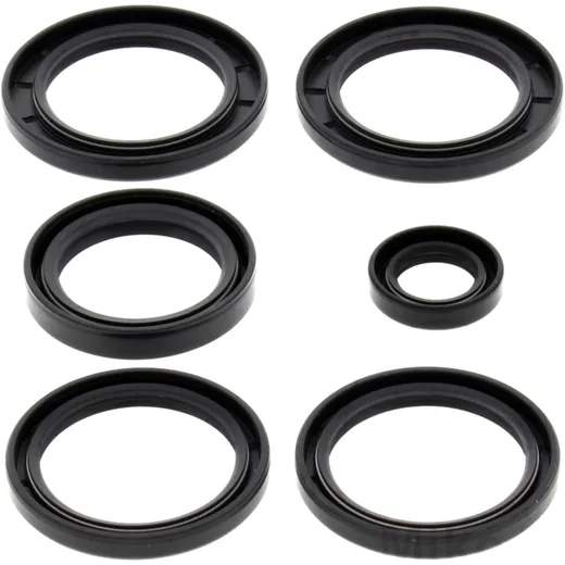 Diff repair kit rear ALL BALLS racing for: Kawasaki KVF, KFX, Suzuki LT - V 7731728