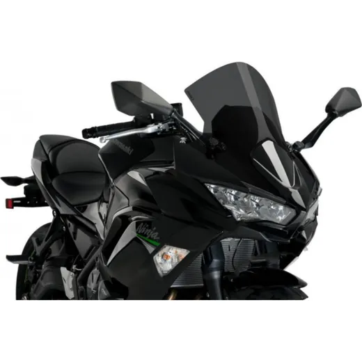Racing screen puig 3880F