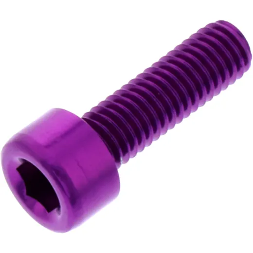 Hex socket cap screw probolt LPB516P