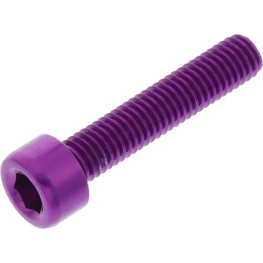 Hex socket cap screw probolt LPB525P