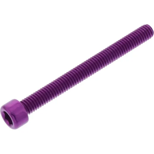 Hex socket cap screw probolt LPB660P