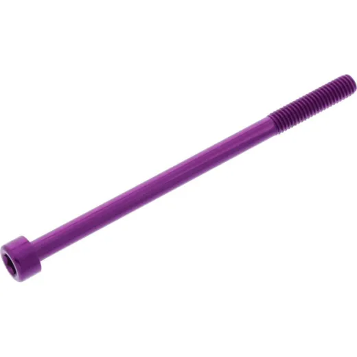 Hex socket cap screw probolt LPB695P