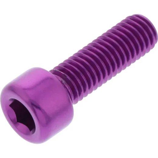 Hex socket cap screw probolt LPB825P