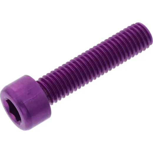 Hex socket cap screw probolt LPB835P