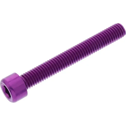 Hex socket cap screw probolt LPB860P