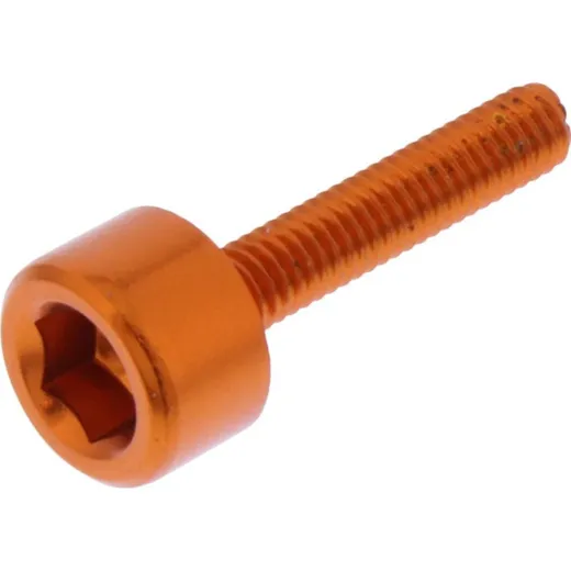 Hex socket cap screw probolt LH420O